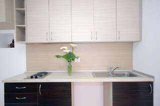 Апартаменты Apartments Pavlovic Петровац Трехместный номер с террасой-6